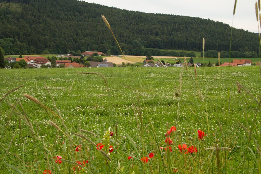 Apartment Alte Schule *
