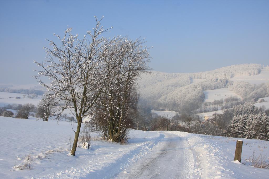 Alte Schule * Willingen (Upland)