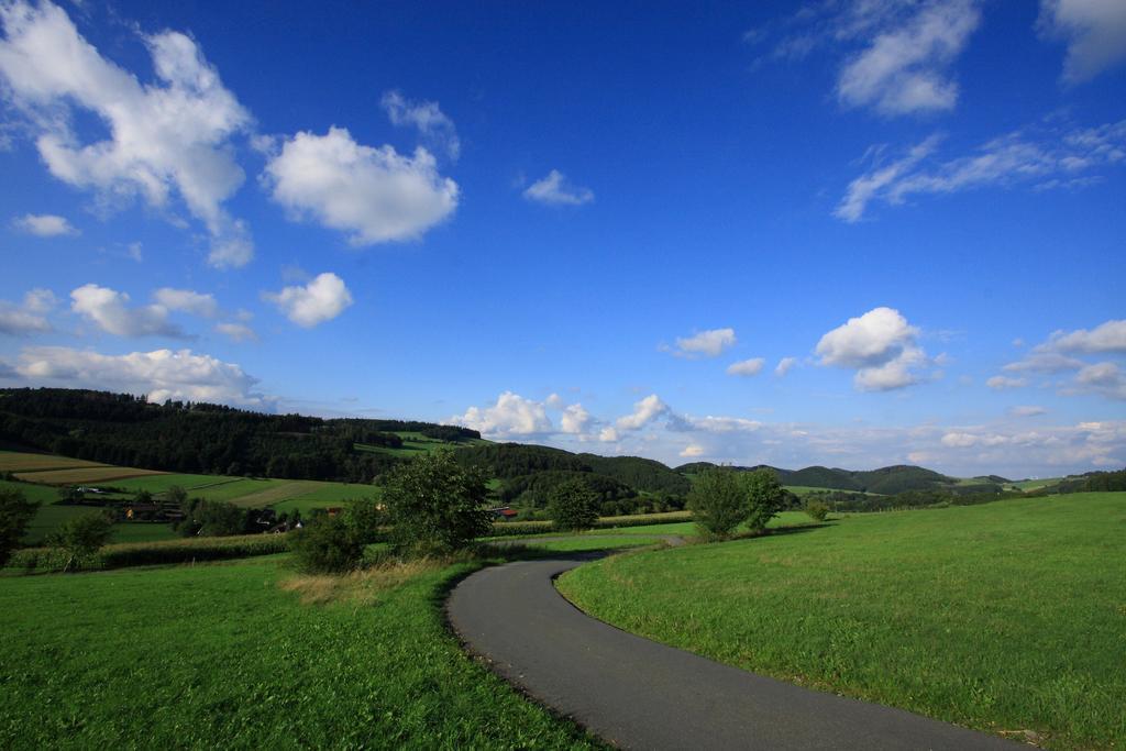 Alte Schule * Willingen (Upland)